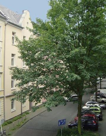 Sicht aus dem Fenster