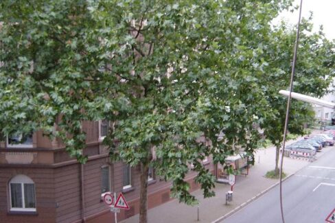 Sicht aus dem Fenster