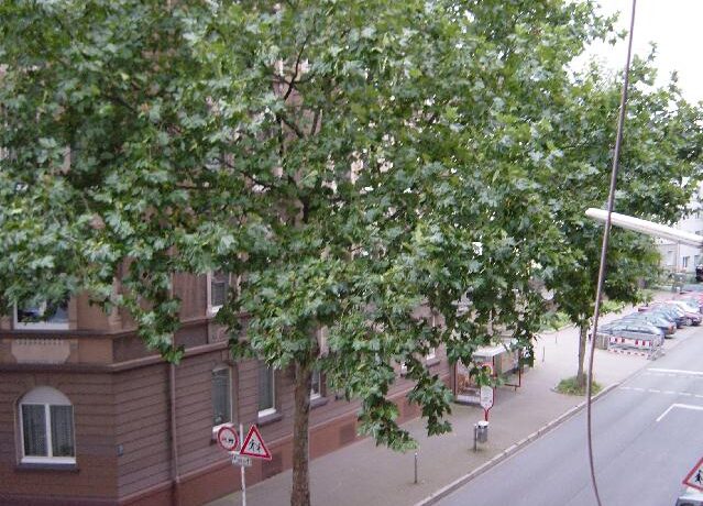 Sicht aus dem Fenster