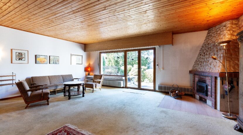 Wohnraum mit Kamin und Terrassenzugang