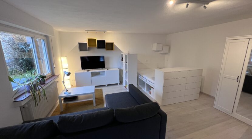 Wohn- / Schlafzimmer