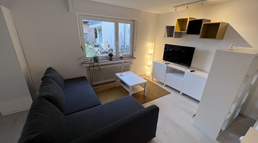 Wohn- / Schlafzimmer