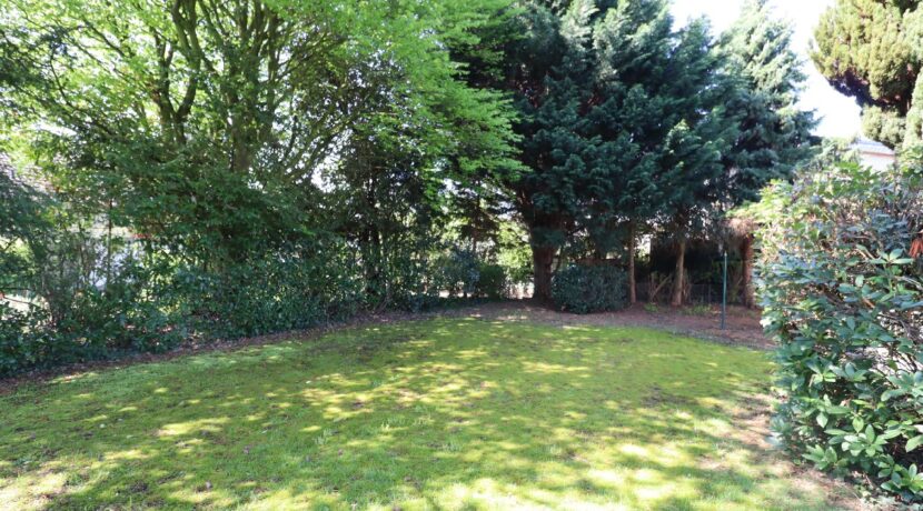 Blick in den großen Garten