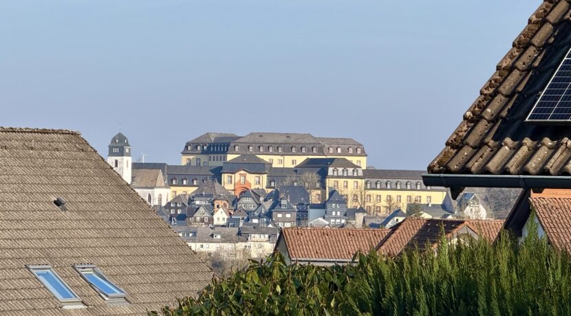 Schlossblick