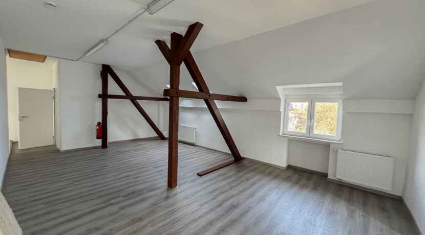 Zimmer 3 DG