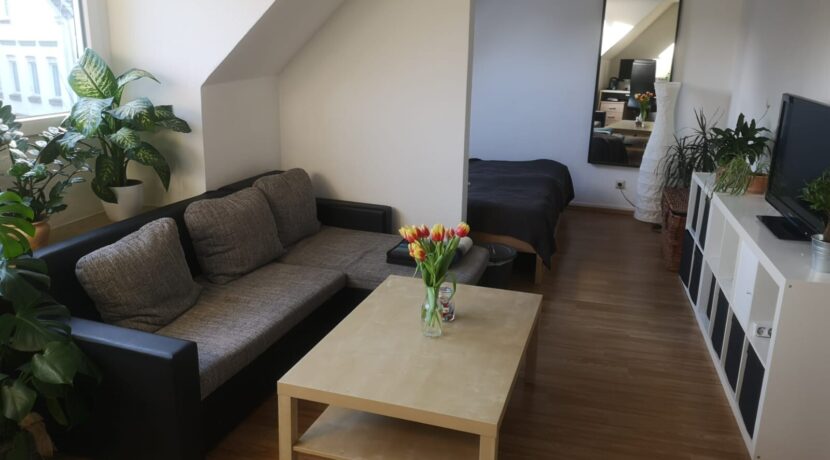 Wohn und Schlafzimmer