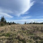 Unverbaubare Naturlage