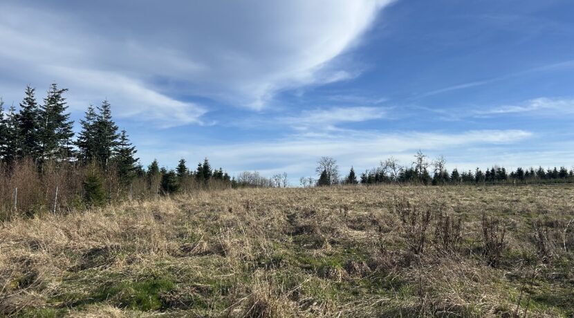 Unverbaubare Naturlage