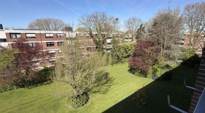 tollem Ausblick ins Grüne