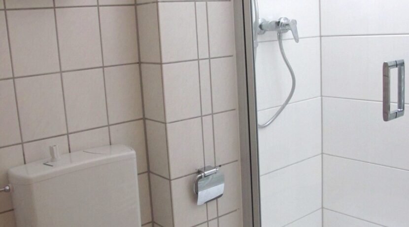Gäste WC mit Dusche