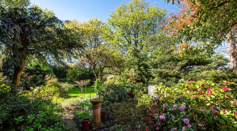 Blick in den großen Garten