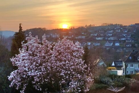 Willkommen Frühling!