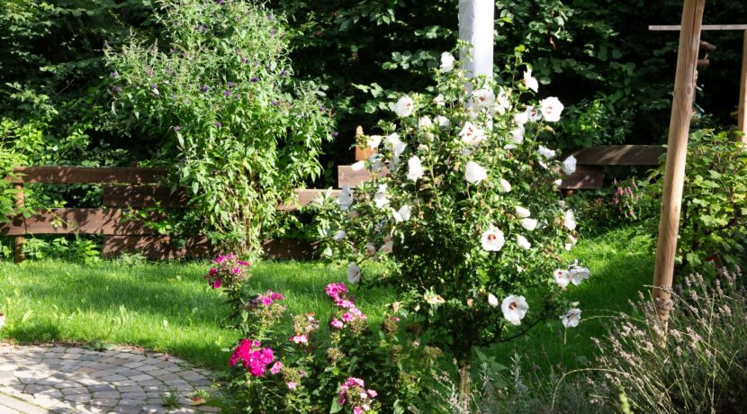 Gartenansicht
