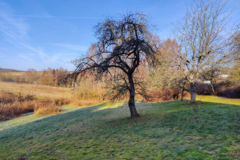 Grundstück