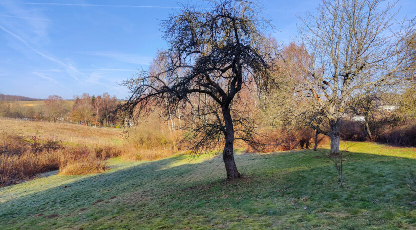 Grundstück