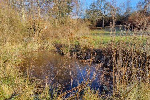 Gartenteich