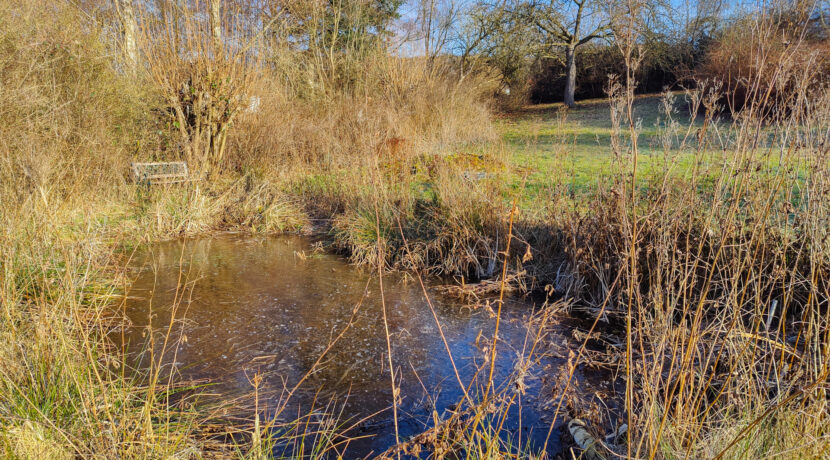 Gartenteich