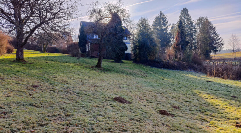 Grundstück