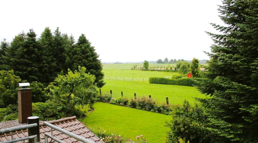 Aussicht vom Balkon