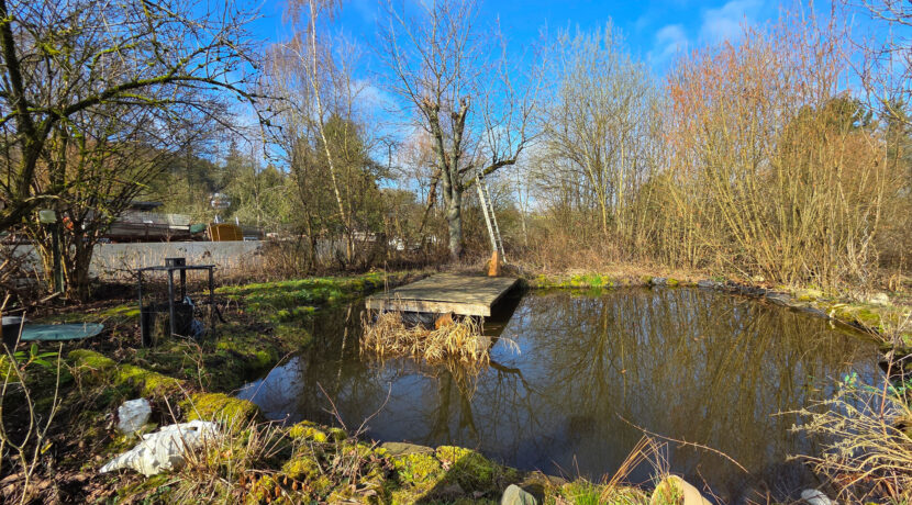Teich