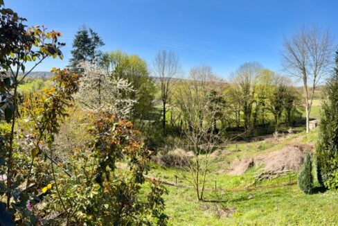 Ausblick
