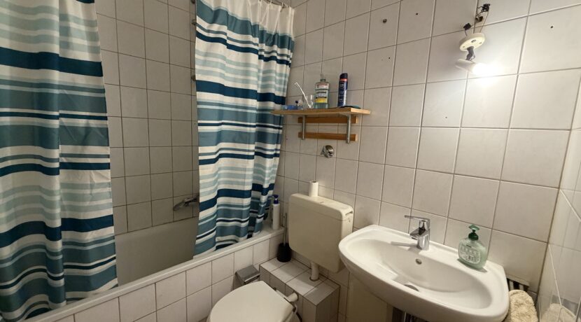 Sanitär