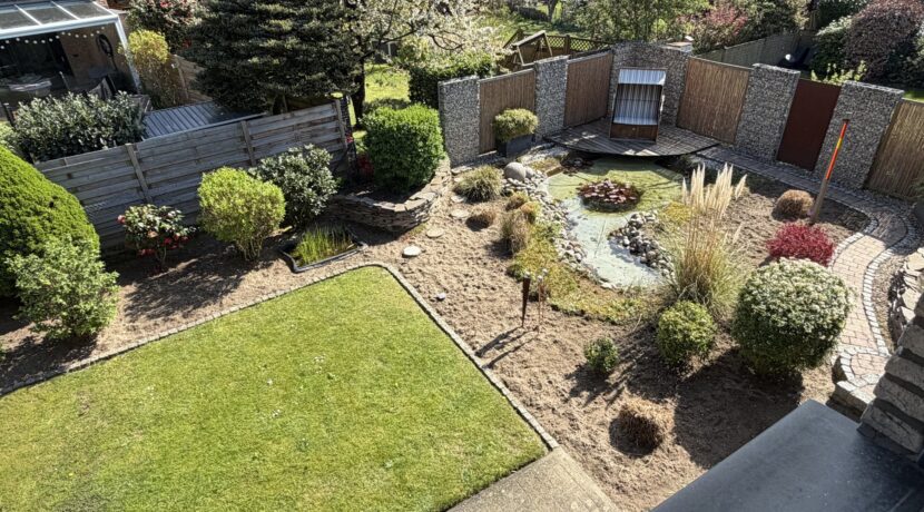 Blick in den Garten