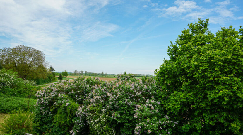 ... mit toller Aussicht