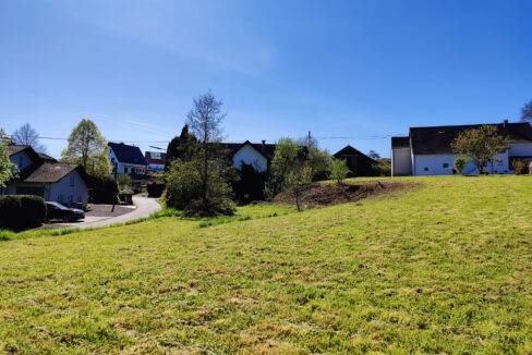 Grünfläche