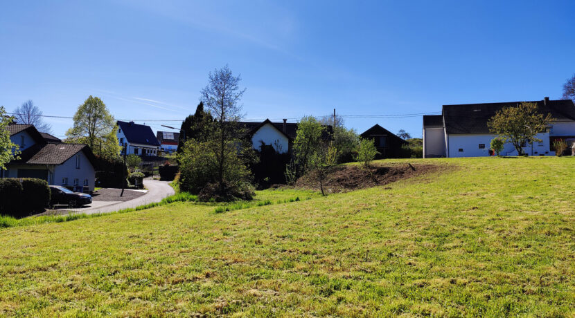 Grünfläche