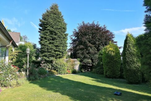 Blick in den Garten