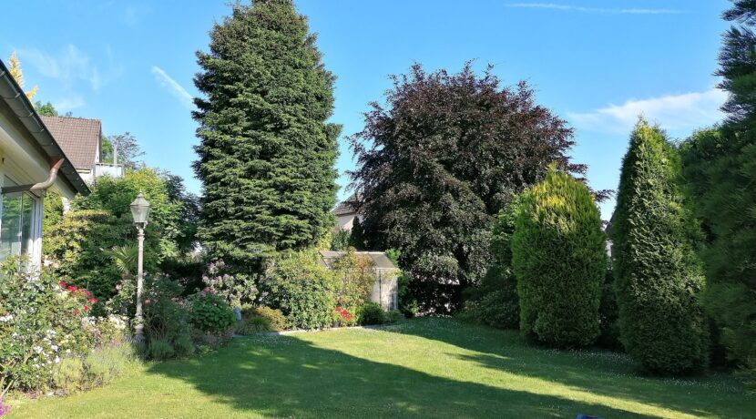 Blick in den Garten