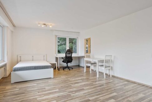 Wohn-/Schlafzimmer