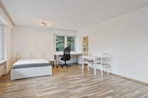 Wohn-/Schlafzimmer