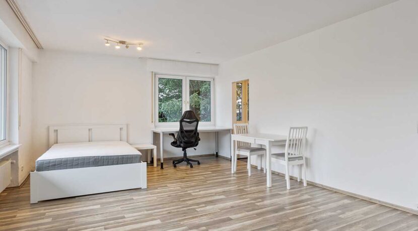 Wohn-/Schlafzimmer
