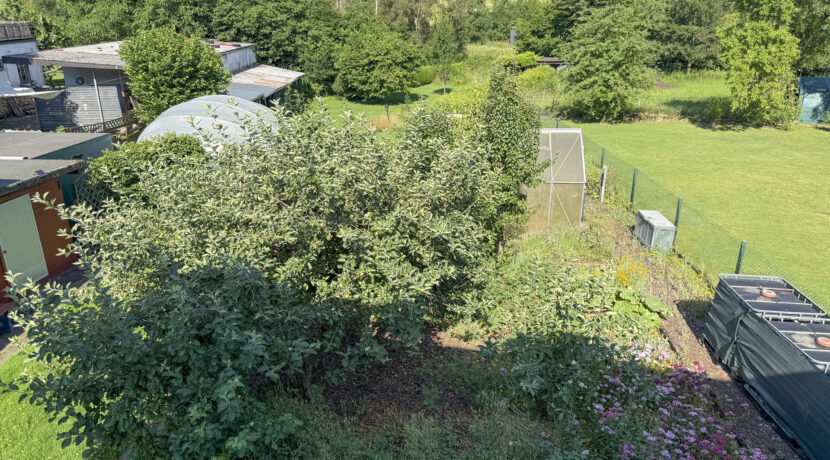 Blick aufs Grundstück