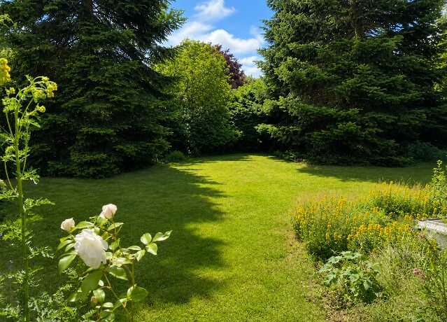 Gartenbereich