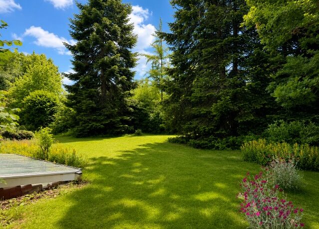 Gartenbereich