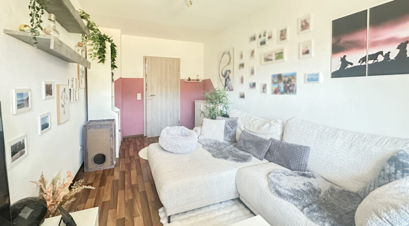 EG Wohnzimmer Anbau