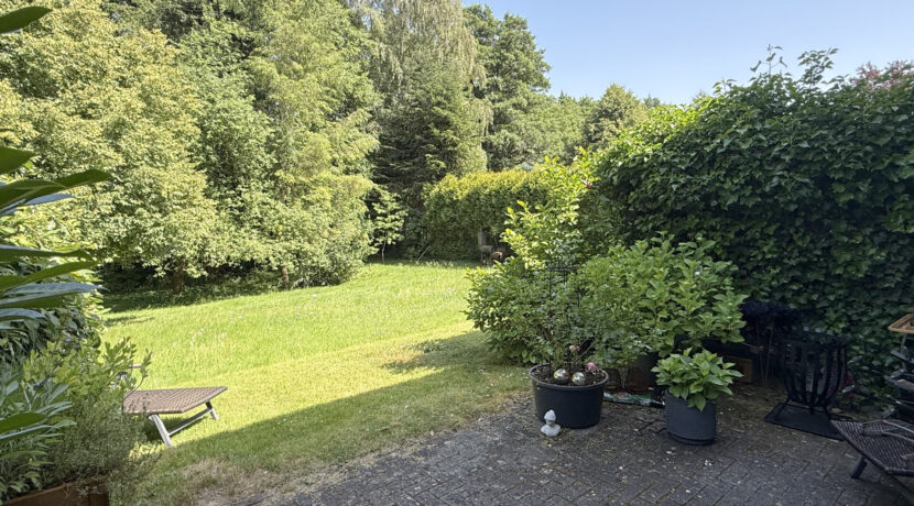 EG Blick von der Terrasse