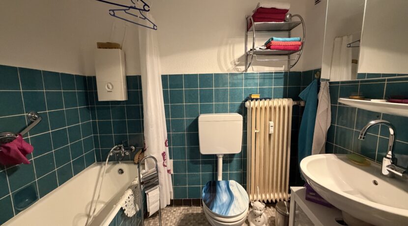 Sanitär