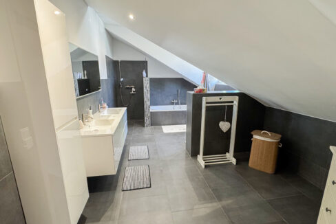 Tageslichtbad mit Wanne und Dusche DG