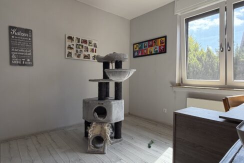 ...oder Spielzimmer für Katzenkinder