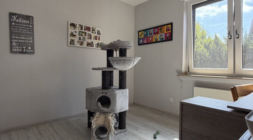 ...oder Spielzimmer für Katzenkinder