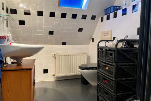 Bad mit Dusche (DG)