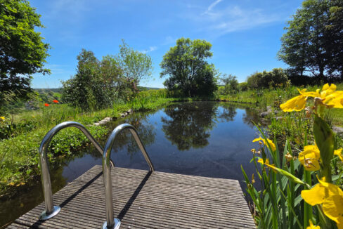 Teich