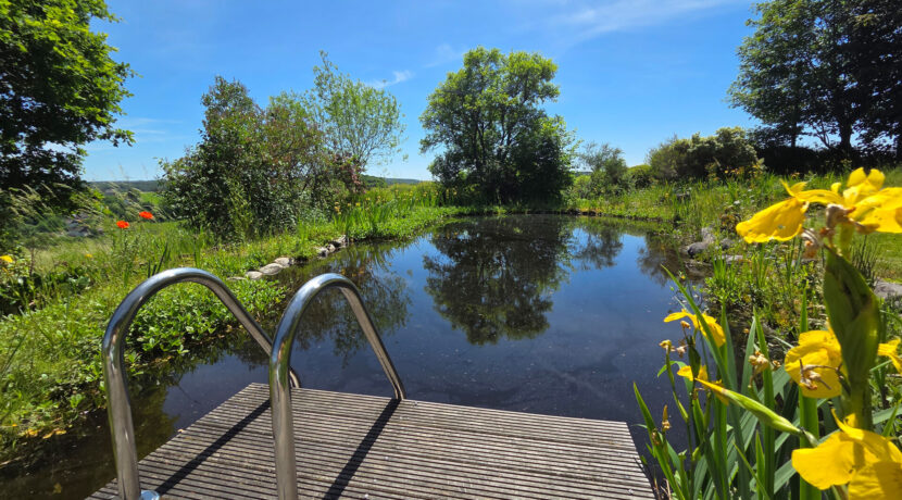 Teich