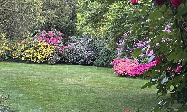 Garten