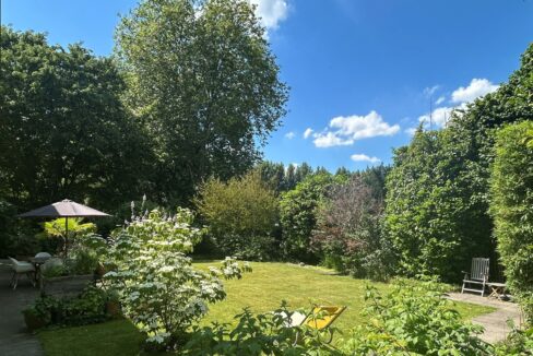 Blick in den Garten