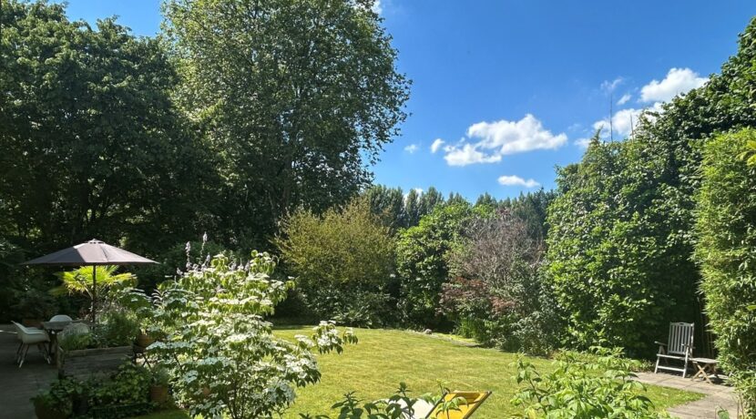 Blick in den Garten